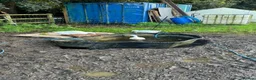 Ducks poultry for sale: Pure Aylesbury Ducklings  in Welwyn Garden City - Advert 6