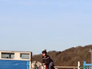 Other Breed horses ☀️April☀️13.1hh, rising 6 year old for sale! - Advert 12