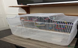 Budgerigars birds for sale: 2 budgies with cage - Image 3