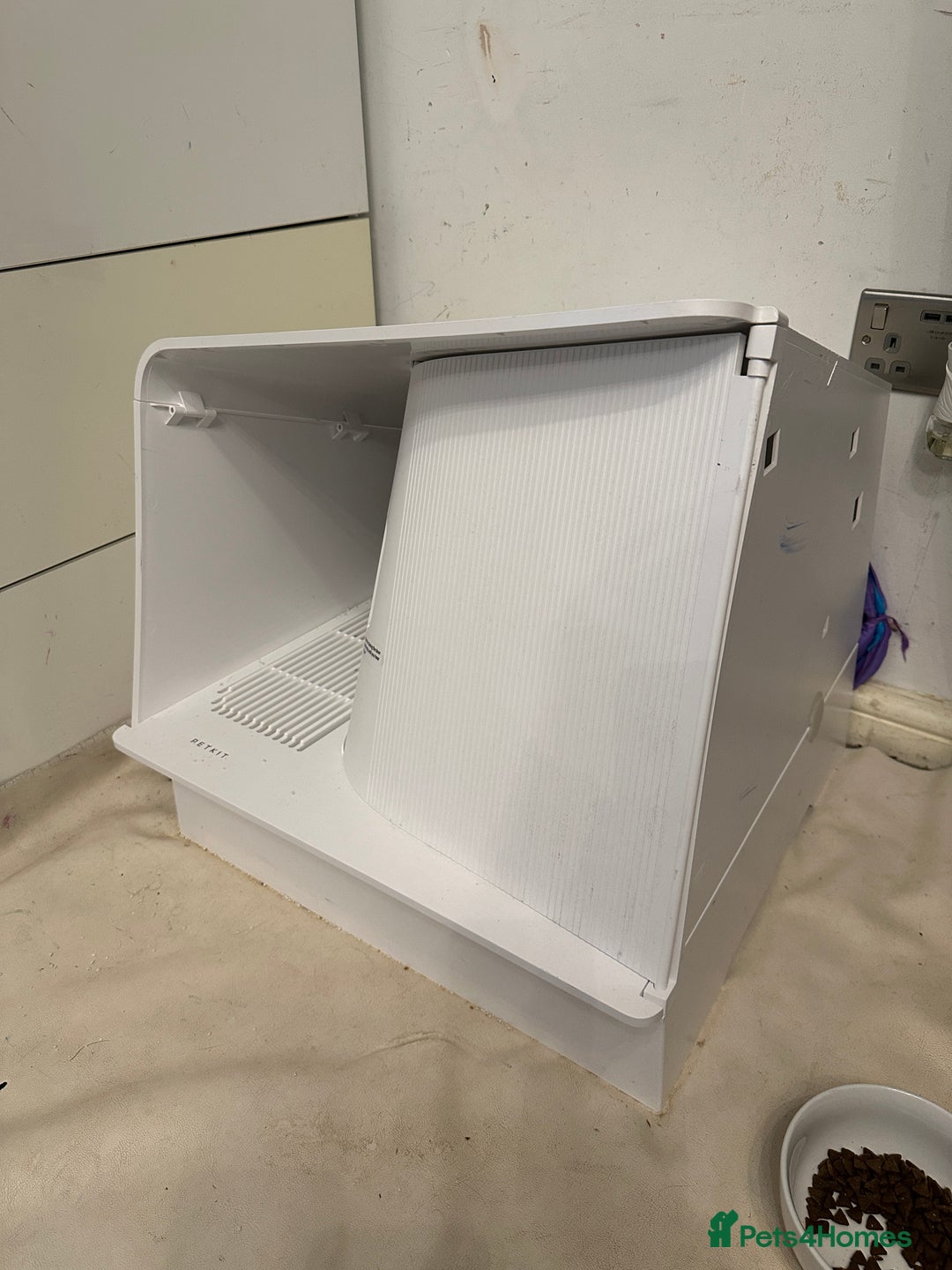 Mixed Breed cats for sale: Torbie Arabian Mau X BSH - Advert 4