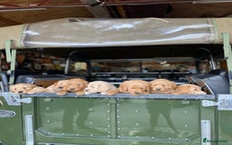Goldendoodle dogs for sale: Golden doodle puppies ready 12th September  - Image 1