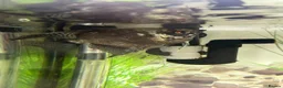 Plecos fish for sale: 160L Aquarium Full Setup with Fish & Filter in Lutterworth - Advert 8