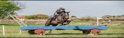 English Thoroughbred horses for sale: Sienna - 15.2hh, 10yo TB MARE in Corby - Advert 5