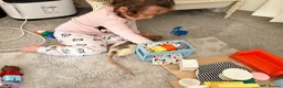 Rat rodents for sale: 4 Friendly and Playful Pet Rats for Rehoming - Advert 5
