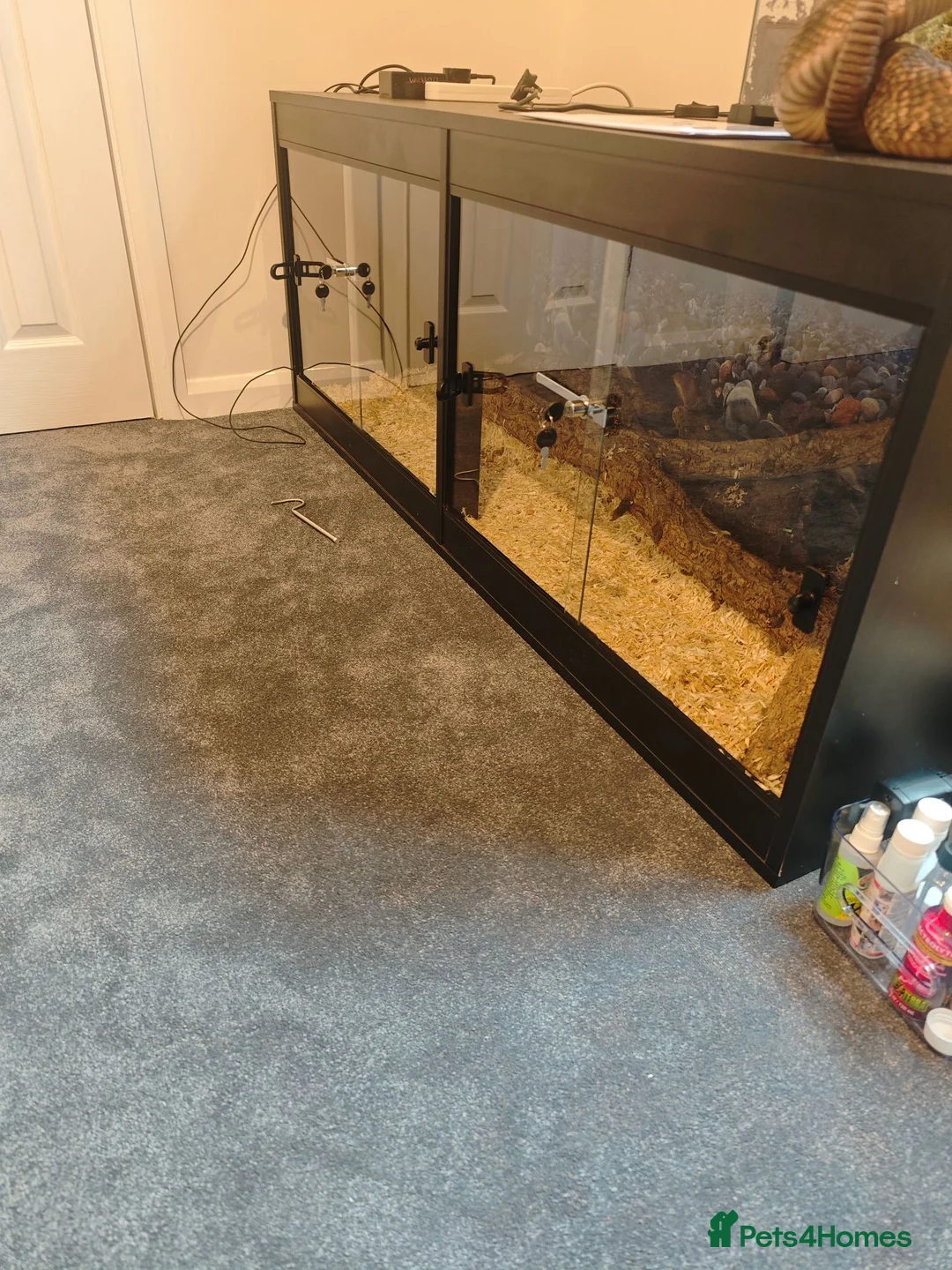 Python Snake reptiles for sale: 5 foot tank for sale  - Advert 1