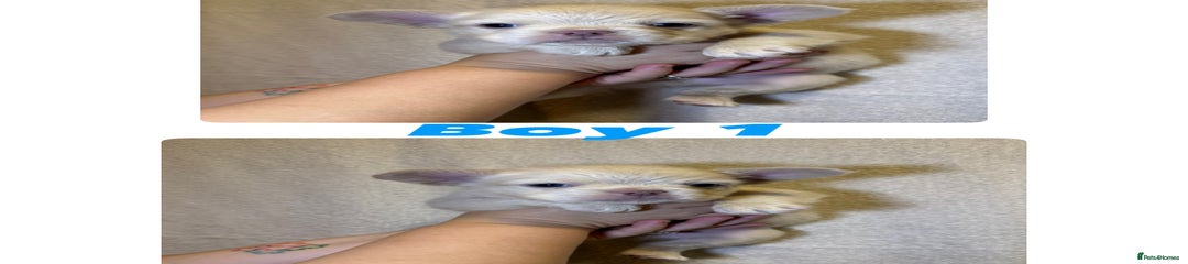 Boy 1