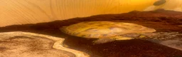 Tortoise reptiles for sale: 2 x Russian tortoises with setup - Advert 4