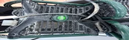 Other/Mixed Breed fish for sale: 4ft fish tank, stand and pumps for sale  - Advert 3