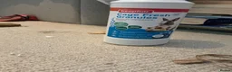Mouse rodents for sale: 5 female mice with cage set up  - Advert 10