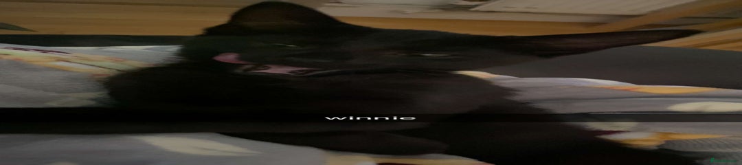 Winnie