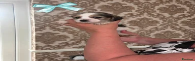 Boy 4