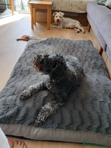 Gallery Image {{count}}