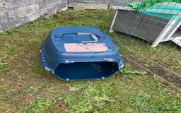 English rabbits for sale: 2 Male rabbits, brothers - Image 3
