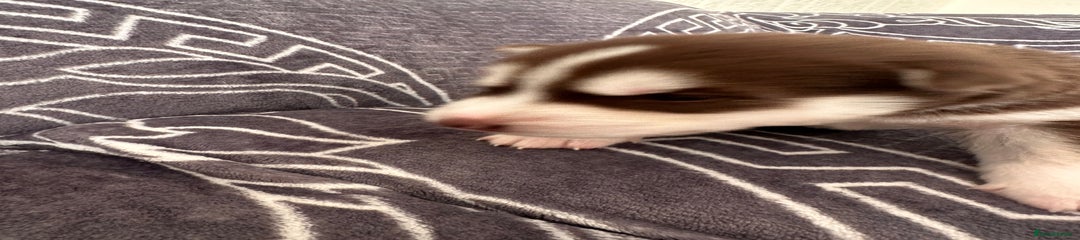 Boy 1 
