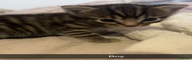 Boy 2