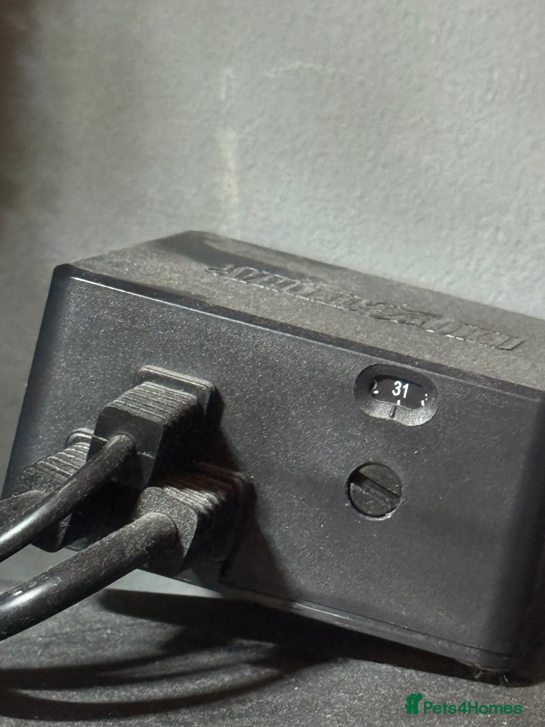 Python Snake reptiles for sale: Beautiful male inferno morph ball python  - Advert 9