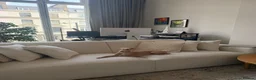 Italian Greyhound dogs for sale: Italian Greyhound puppies  in London - Advert 18