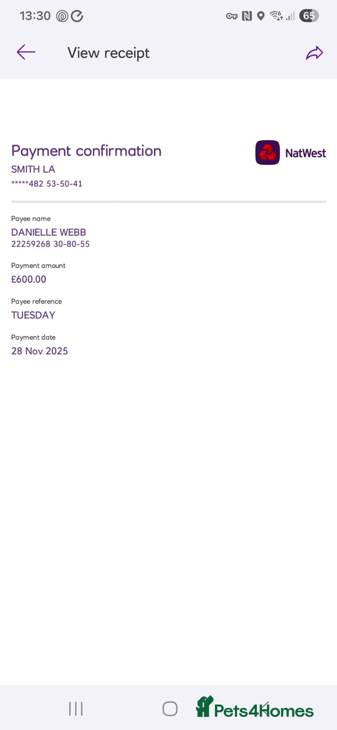 Maine Coon cats for sale: Beautiful Black/silver mackerel  tabby Maine coons - Advert 2