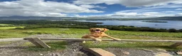 Golden Retriever dogs for sale: GOLDEN RETRIEVER PUPPIES FOR SALE in Crook - Advert 5