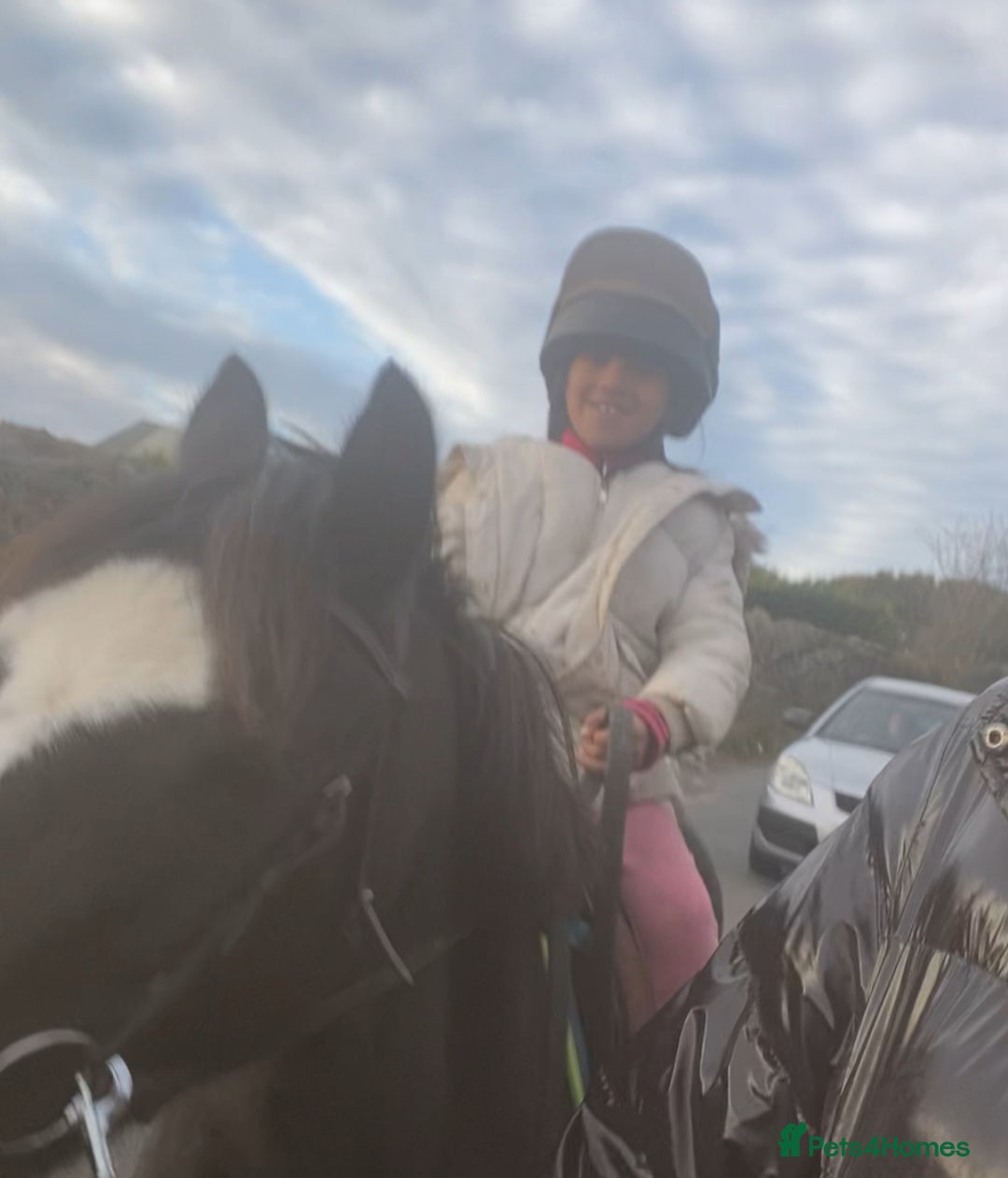 Welsh Section A horses for sale: Super child’s pony  - Image 9