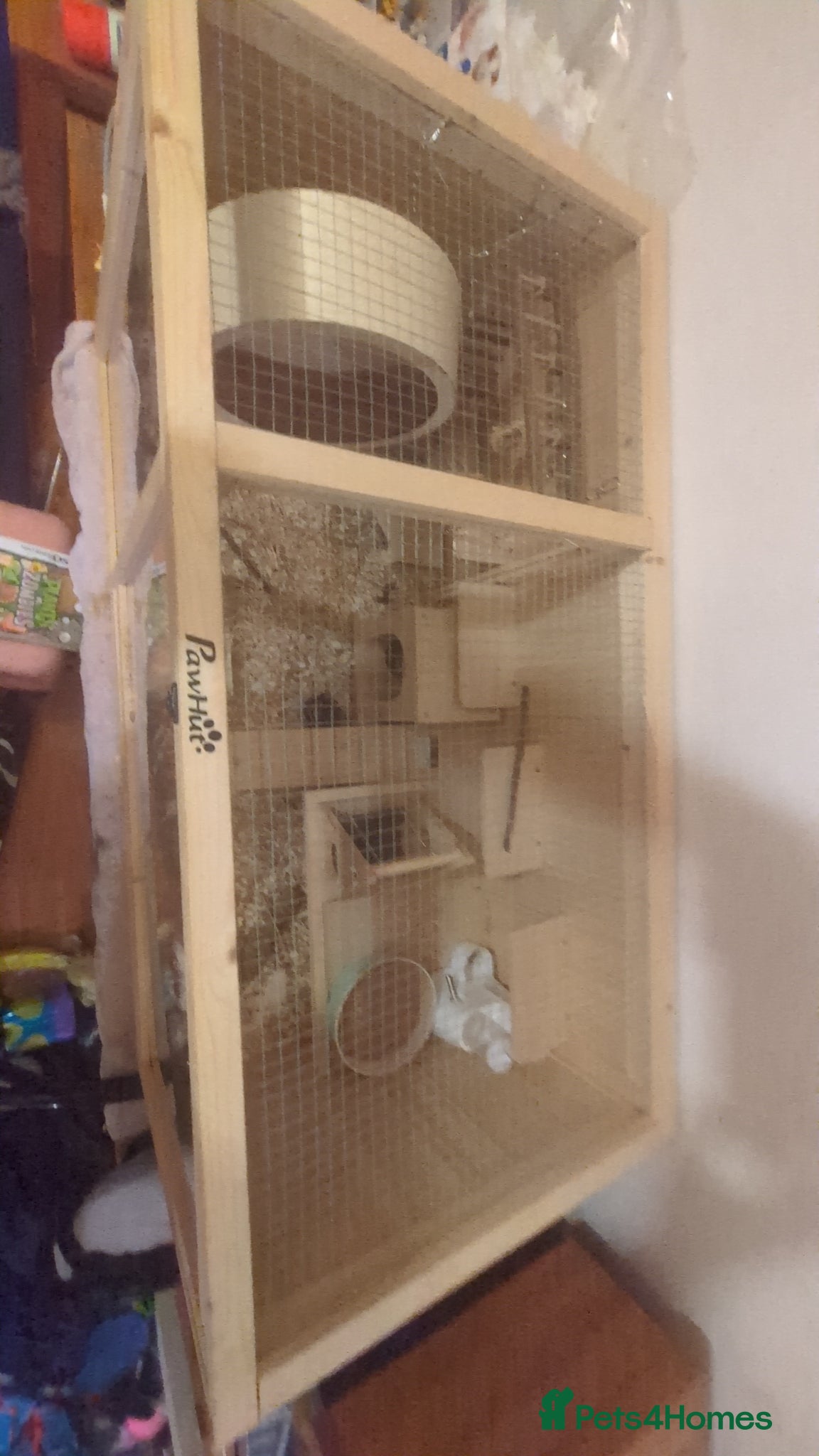 Hamster rodents for sale: Brown Syrian hamster and cage  - Advert 6