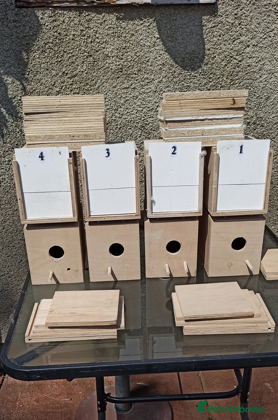 Budgerigars birds for sale: budgie nest box - Image 1