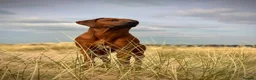 Rhodesian Ridgeback dogs for sale: !!KC CHAMPION AFRICAN RHODESIAN RIDGEBACK!! in Doncaster - Advert 1