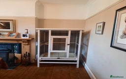 Finches birds for sale: Bird cage & accessories  - Image 4