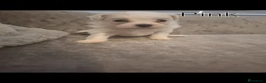 Winnie
