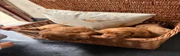 Cocker Spaniel dogs for sale: KC registered Cocker spaniels - Advert 2