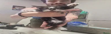 Checkers