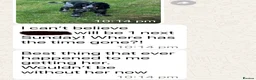 Cocker Spaniel dogs for sale: Extensively Health Tested, Top Quality pedigree  - Advert 13
