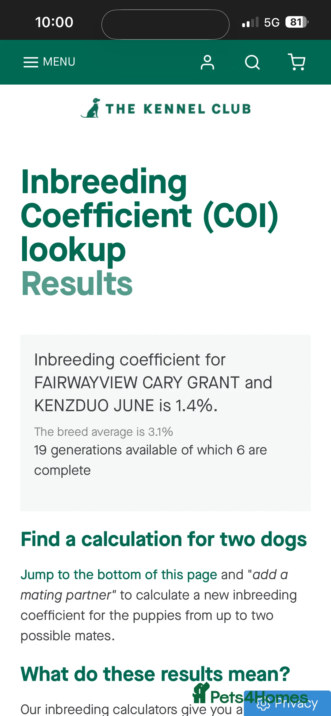 Hungarian Vizsla dogs for sale: Hungarian Vizsla Puppies - Advert 10