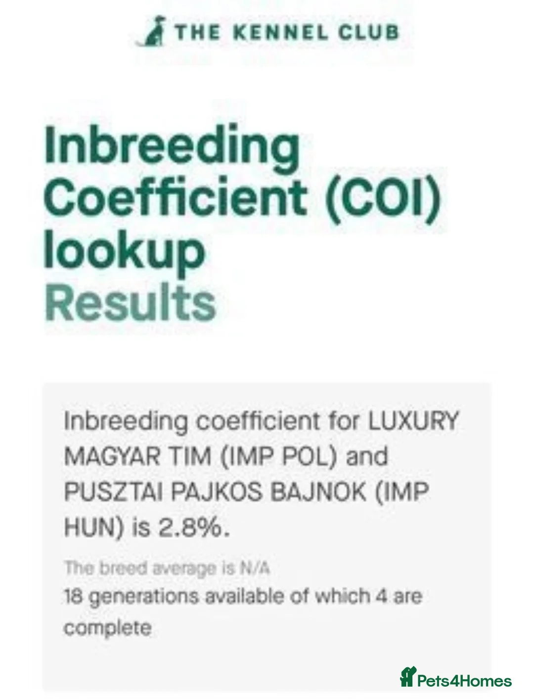 Hungarian Vizsla dogs for sale: Hungarian Vizslas from Licenced Breeder - Advert 11