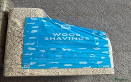 Hamster rodents for sale: Friendly dwarf hamster - 12 weeks old  - Image 9