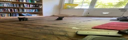 Mixed Breed cats for sale: Gorgeous Silver and Black Tabbies Ready Now.  - Advert 4