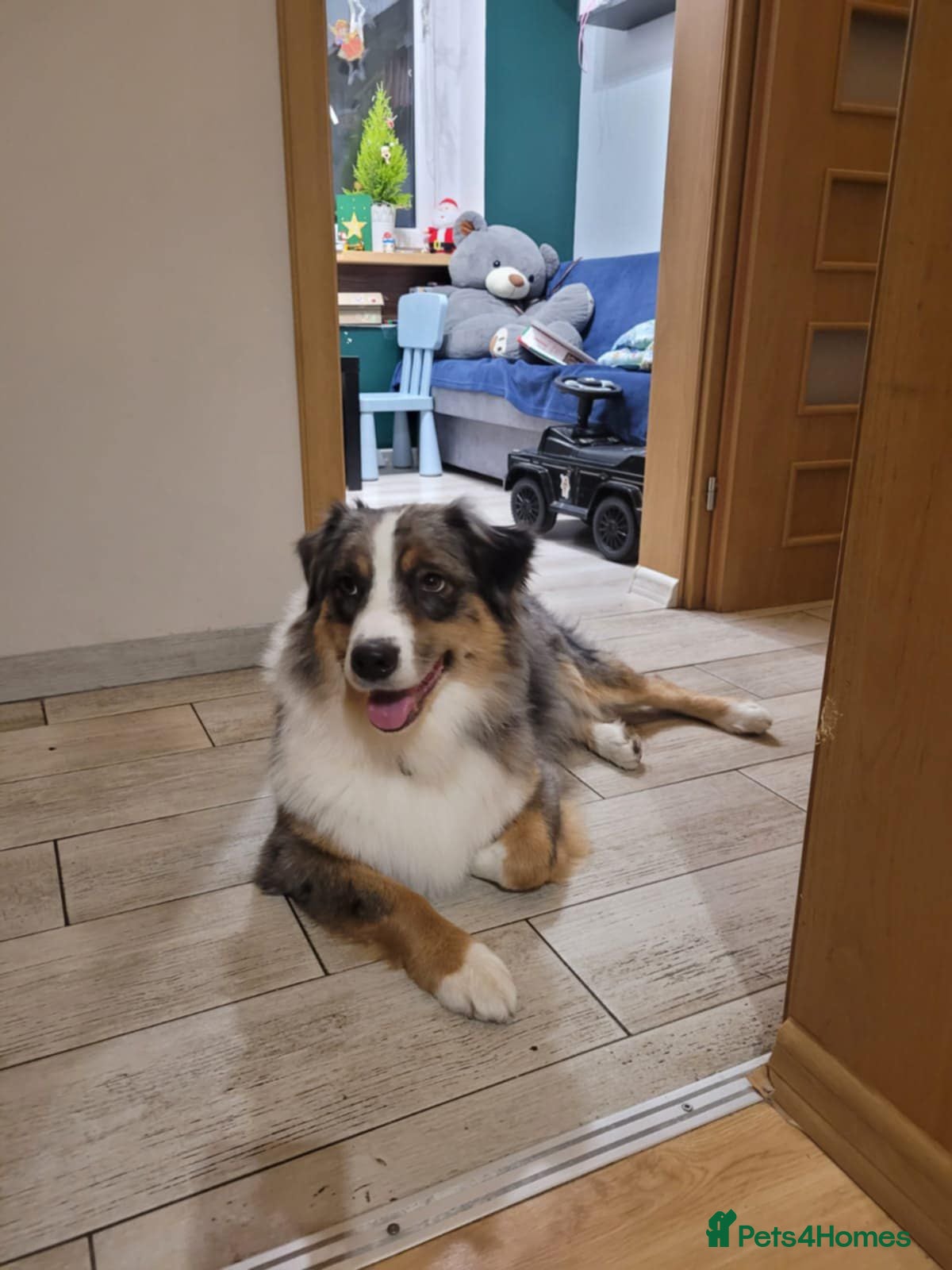 TwinpowerforaFewDollarsMore