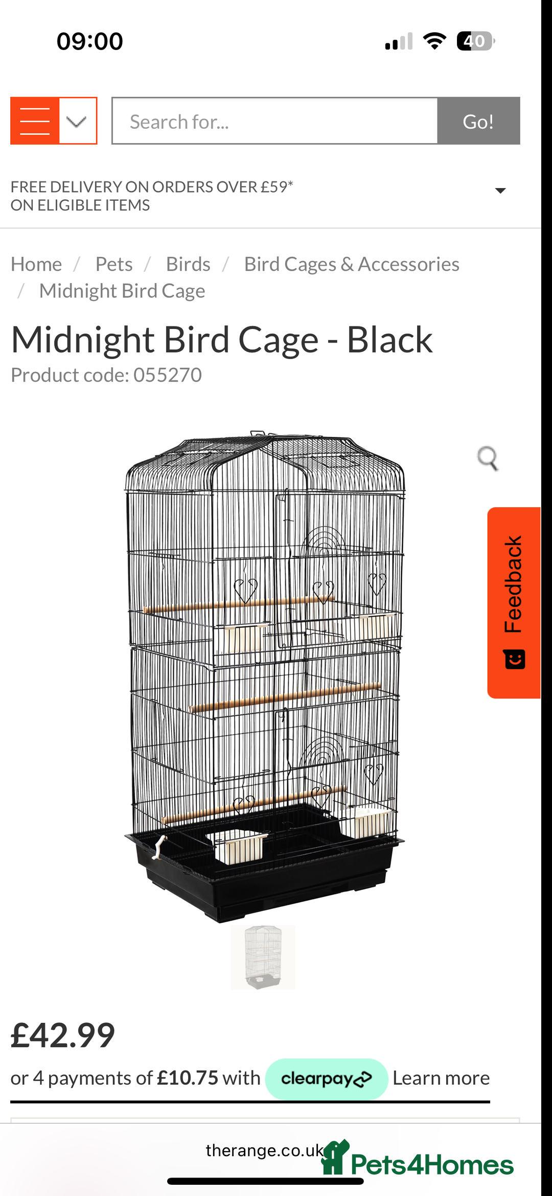 Lovebirds birds for sale: Black masked love bird  - Image 3