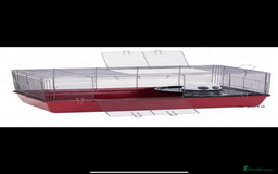Hamster rodents for sale: Alaska hamster cage  - Image 1