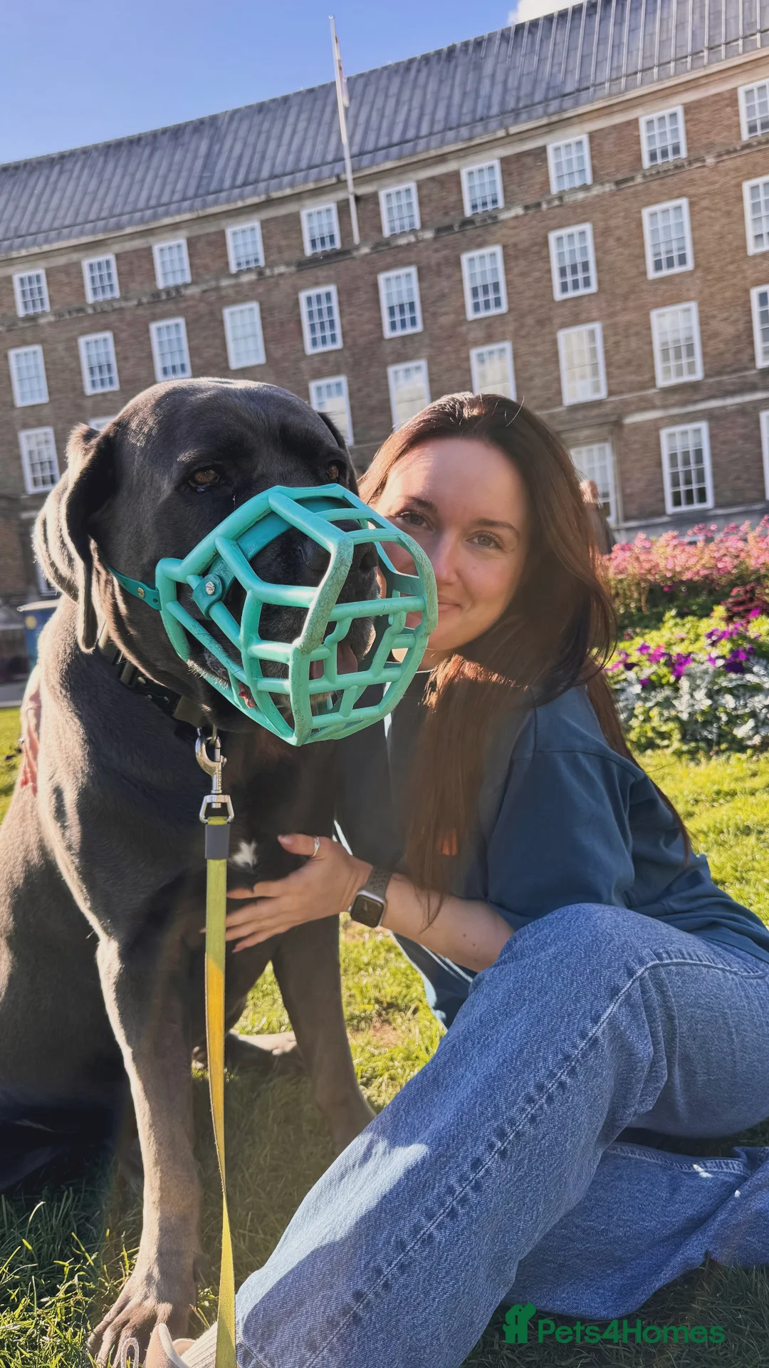 Gallery Image {{count}}