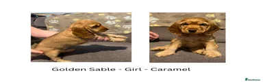 Caramel