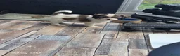 Cava Tzu dogs for sale: READY NOW stunning puppies  - Advert 11