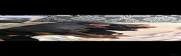 Rottweiler dogs for sale: rottweilers... - Advert 2