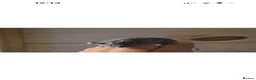 Mouse rodents for sale: Hereford Mice - Advert 4