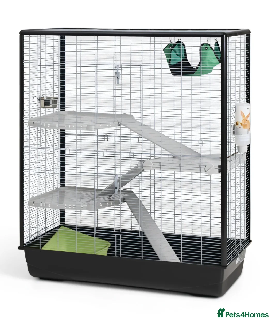Rat rodents for sale: 5 male rats with large Savic Cage in York - Advert 2