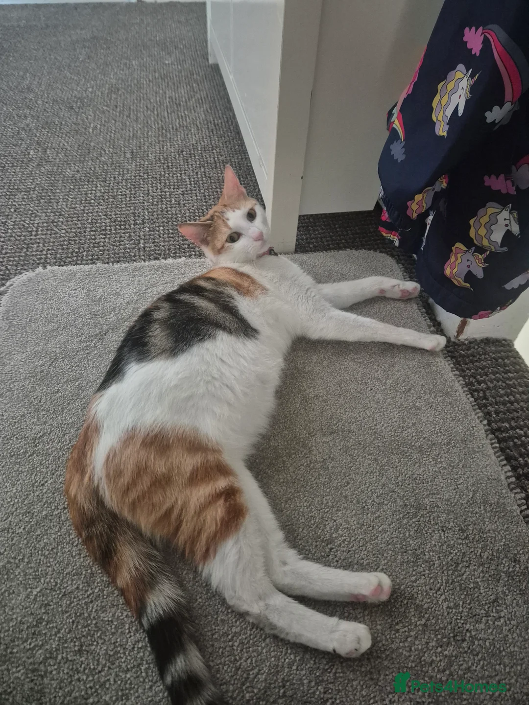 Gallery Image {{count}}