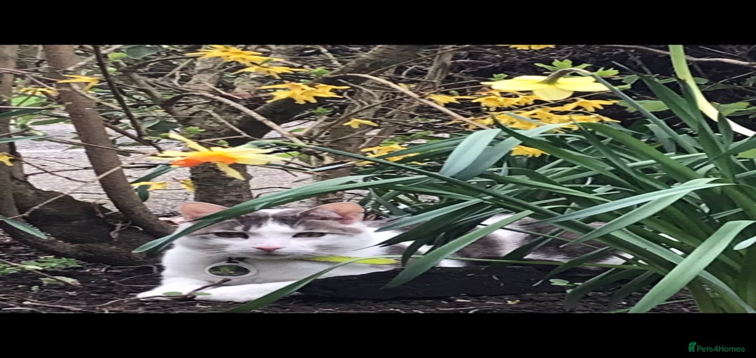 Gallery Image {{count}}