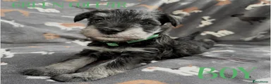Green collar