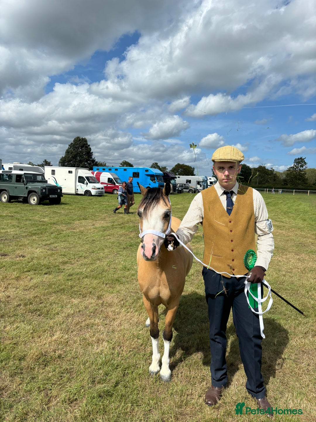 Welsh Section A horses for sale: Beautiful Dunn Welsh A pony - Image 7