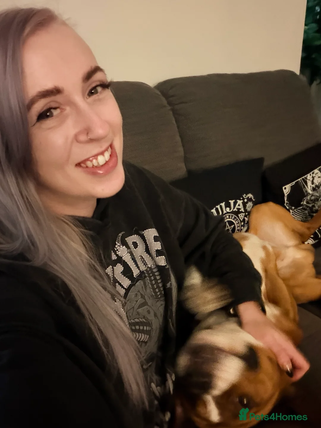 Gallery Image {{count}}